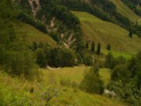 2014-08-02_06FritzPflaum-Steig (412).JPG